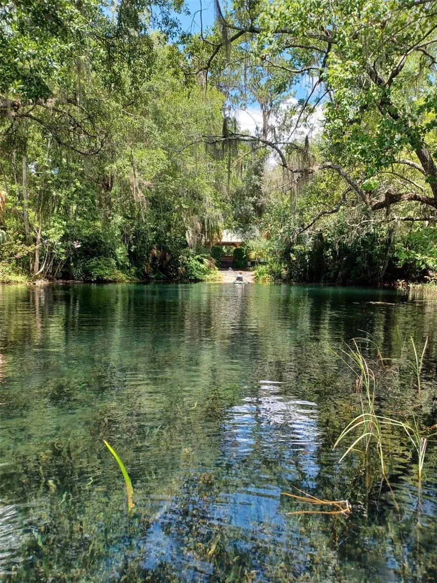 9890 SW 203RD CIRCLE Dunnellon, FL 34431