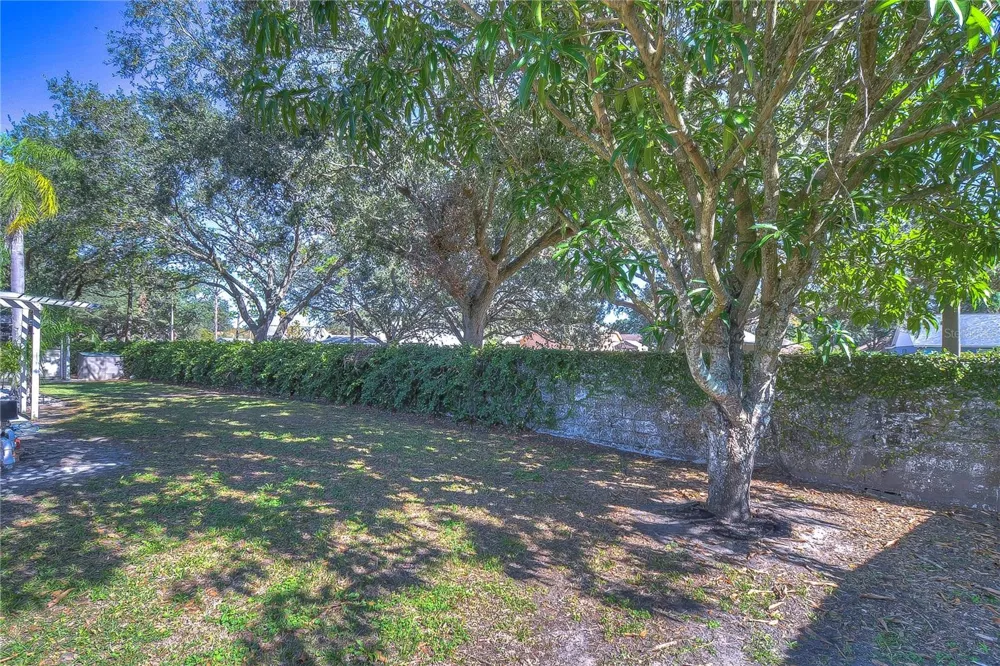 9502 SUNNYOAK DRIVE Riverview, FL 33569
