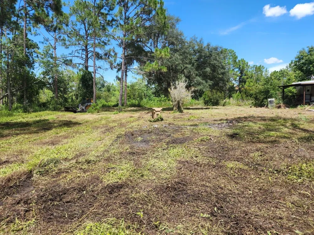 7244 GROVELAND FARMS ROAD Groveland, FL 34736