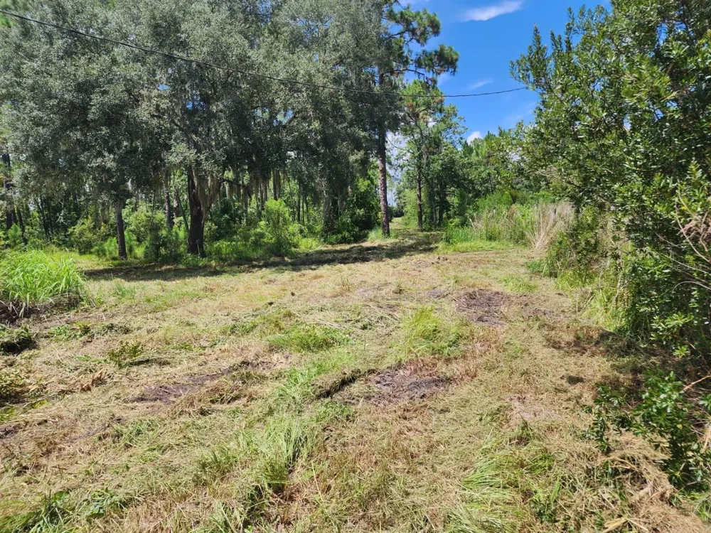 7244 GROVELAND FARMS ROAD Groveland, FL 34736