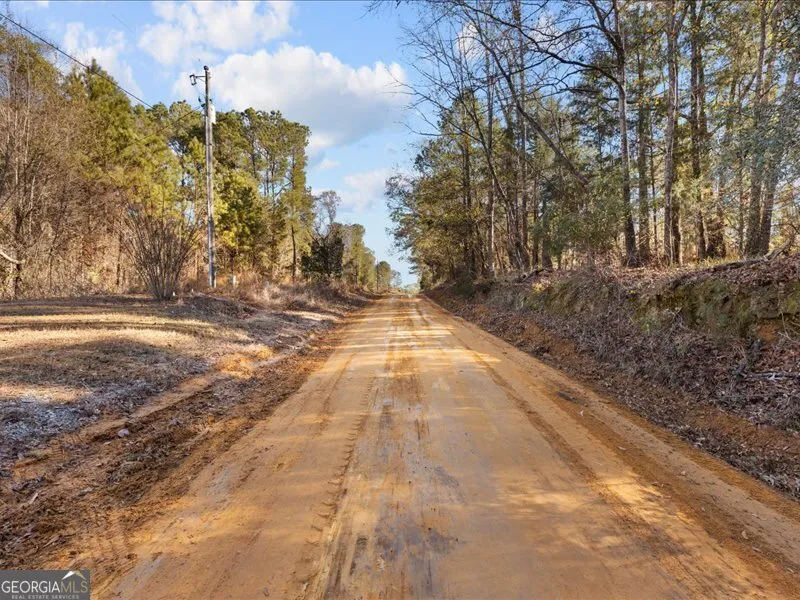 221 Sunset Point RD Fort Gaines, GA 39851