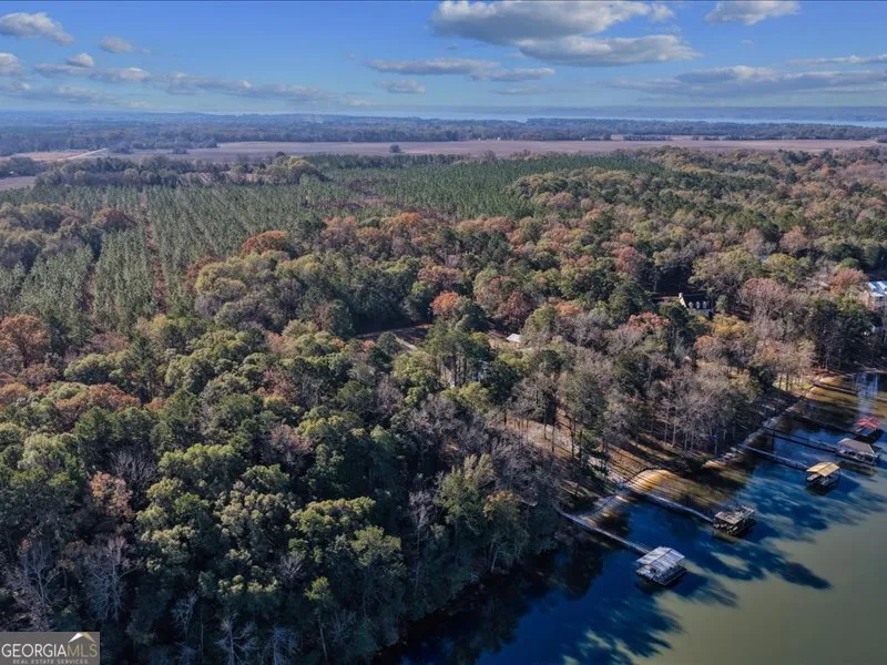 221 Sunset Point RD Fort Gaines, GA 39851