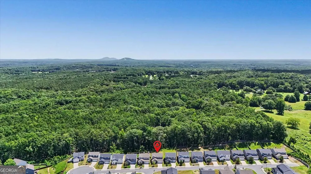 61 Dew Drop PT Dallas, GA 30157