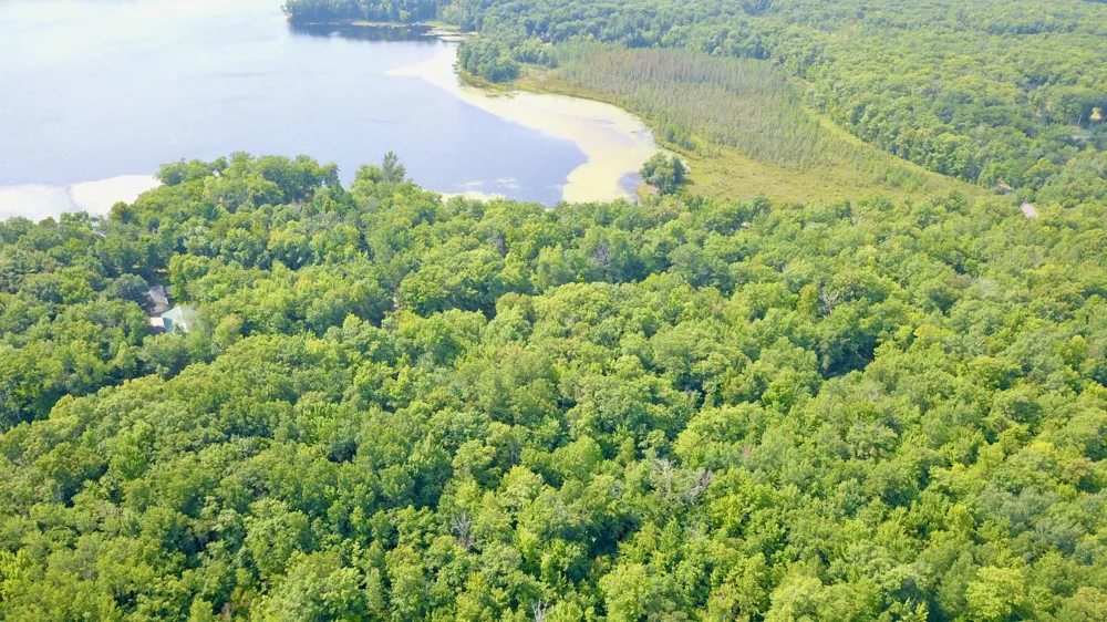 12231 Scott Lake Road Deerwood, MN 56444
