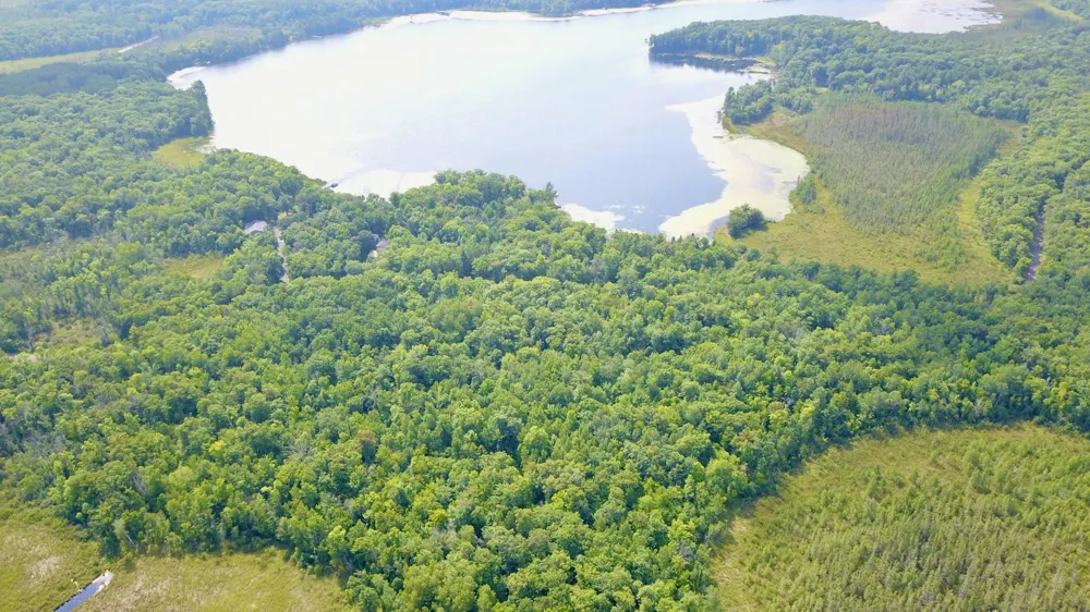 12231 Scott Lake Road Deerwood, MN 56444