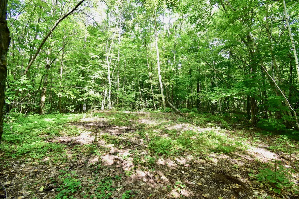 12231 Scott Lake Road Deerwood, MN 56444