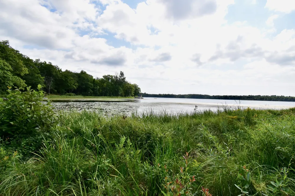 12231 Scott Lake Road Deerwood, MN 56444