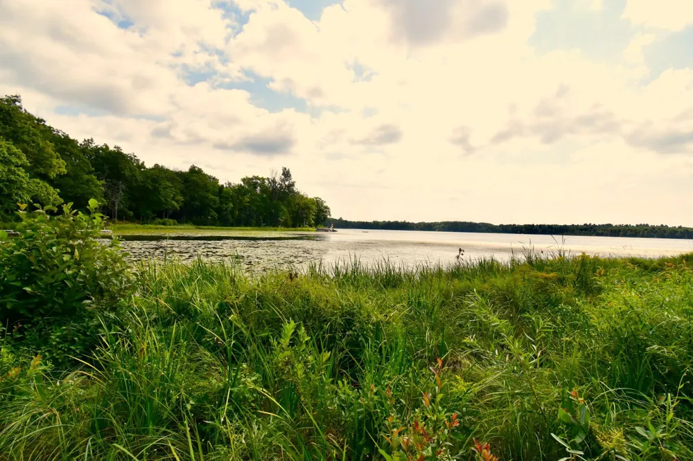 12231 Scott Lake Road Deerwood, MN 56444