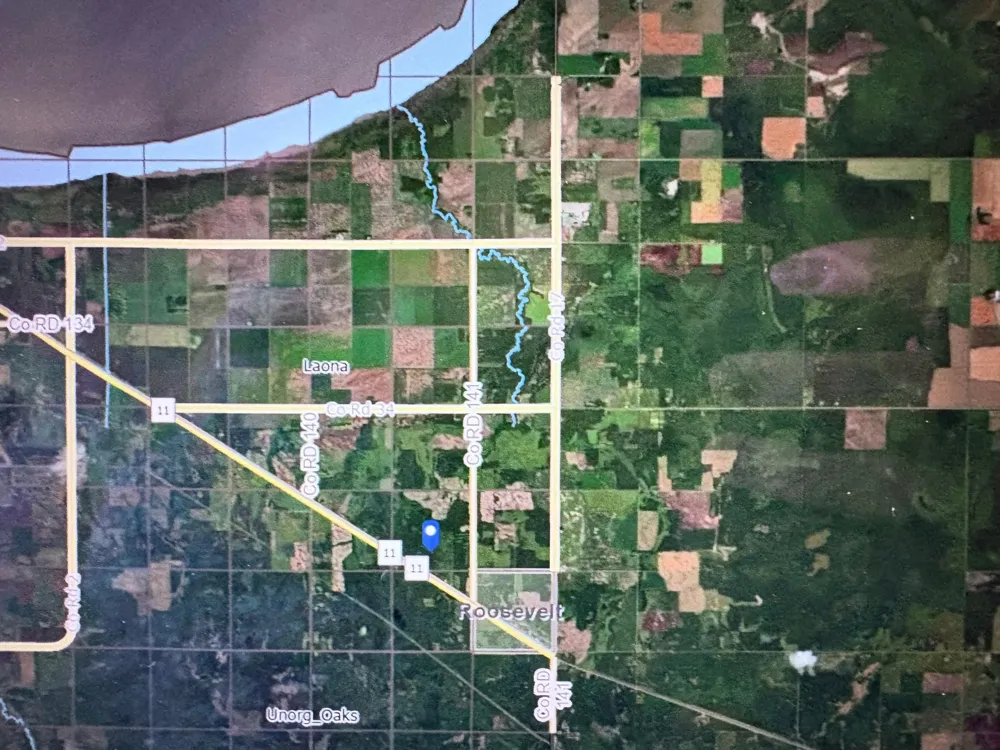 29386 685th Avenue Roosevelt, MN 56673