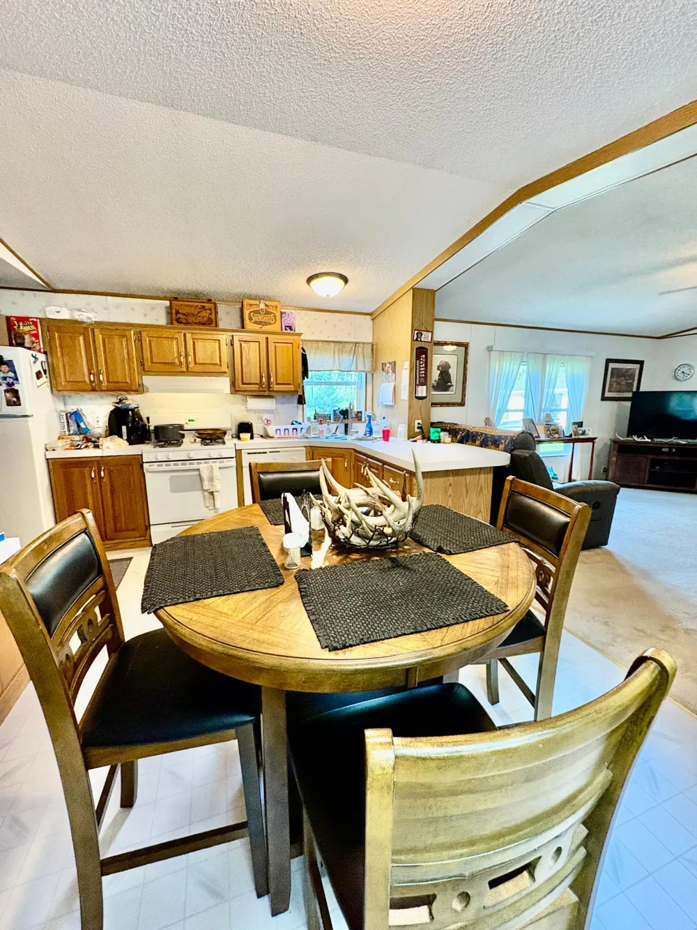 29386 685th Avenue Roosevelt, MN 56673