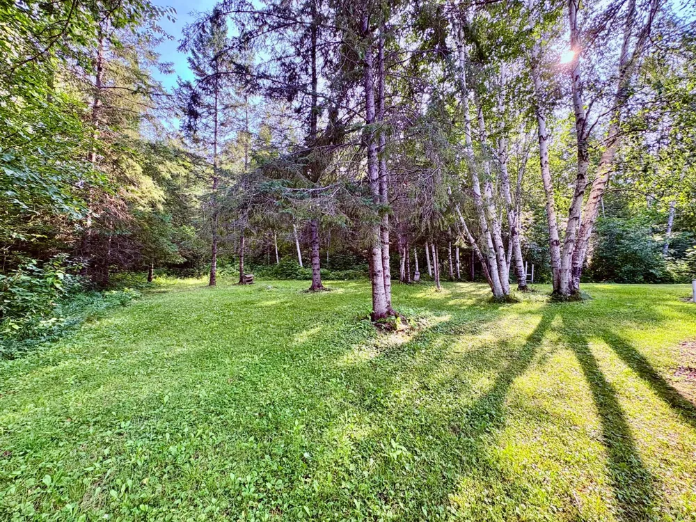 29386 685th Avenue Roosevelt, MN 56673