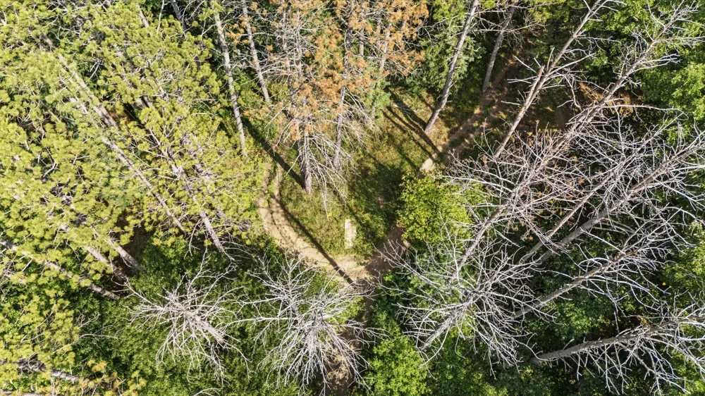 26275 Woodlands Parkway NW Zimmerman, MN 55398