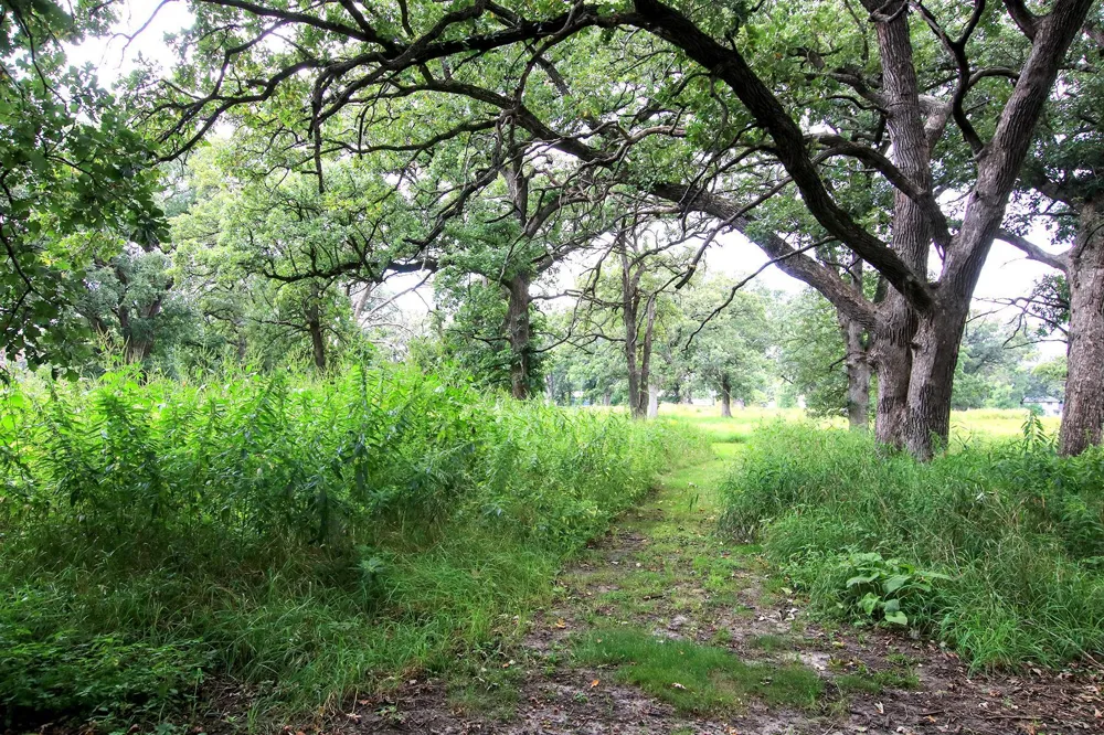 450 School Road NW Hutchinson, MN 55350