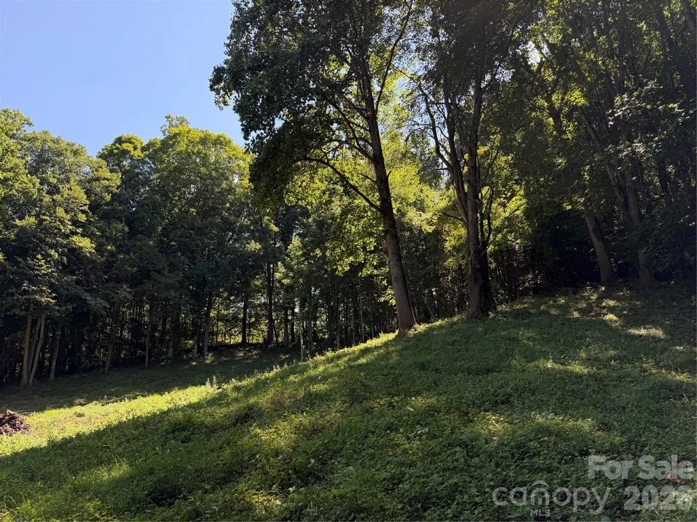 4281 Prices Creek Road Burnsville, NC 28714