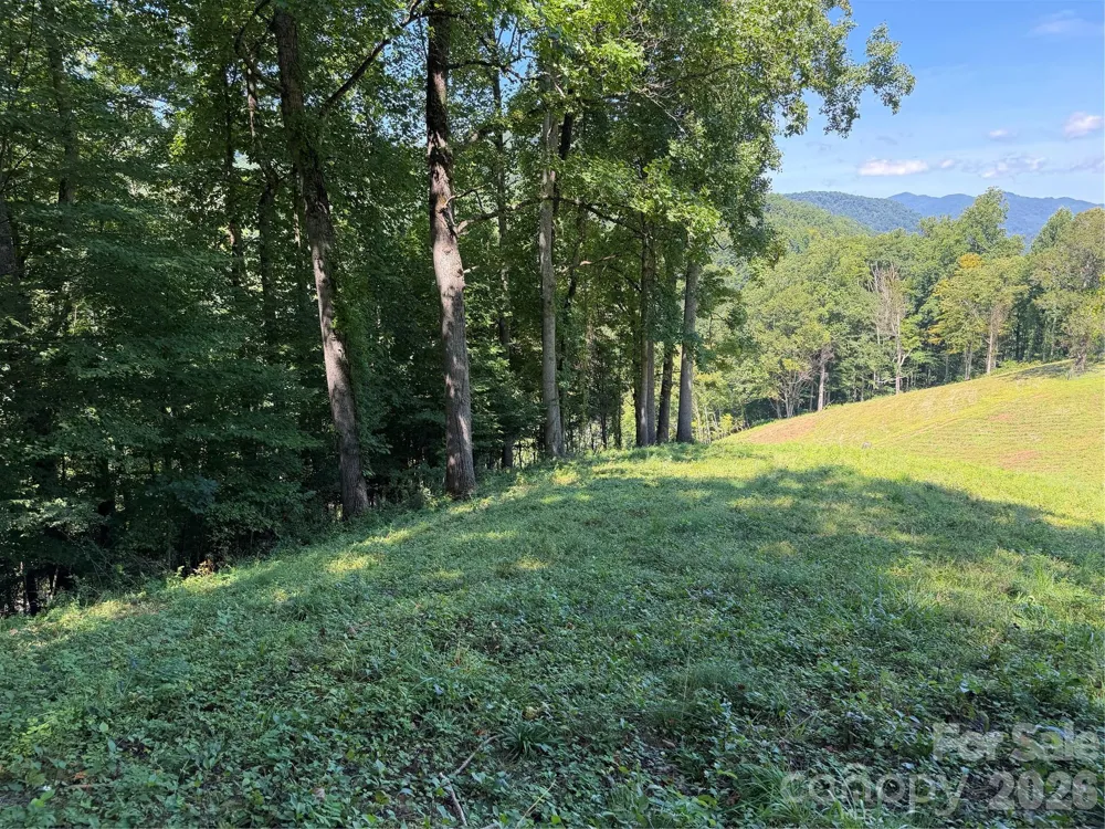 4281 Prices Creek Road Burnsville, NC 28714