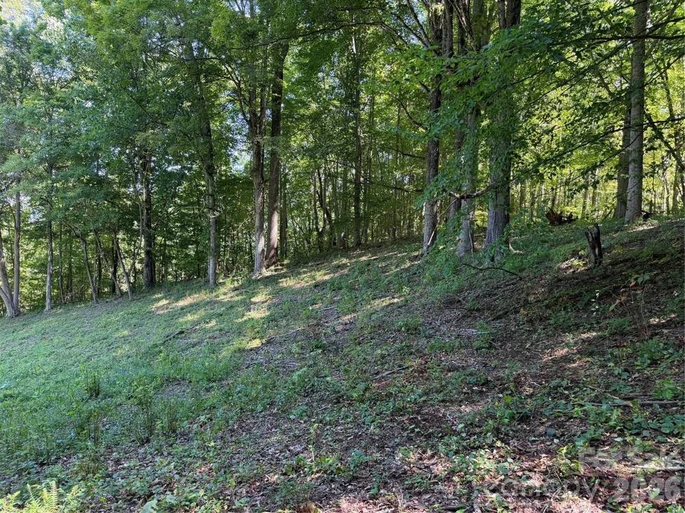 4281 Prices Creek Road Burnsville, NC 28714