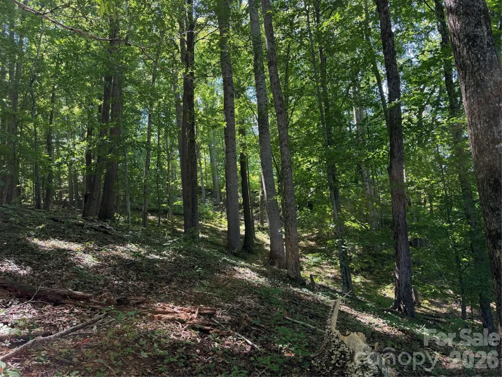 4281 Prices Creek Road Burnsville, NC 28714
