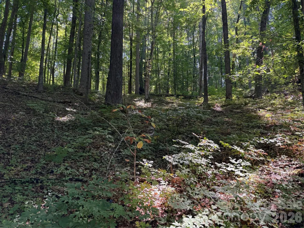 4281 Prices Creek Road Burnsville, NC 28714