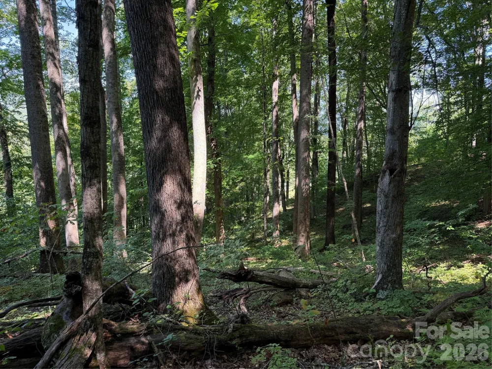 4281 Prices Creek Road Burnsville, NC 28714