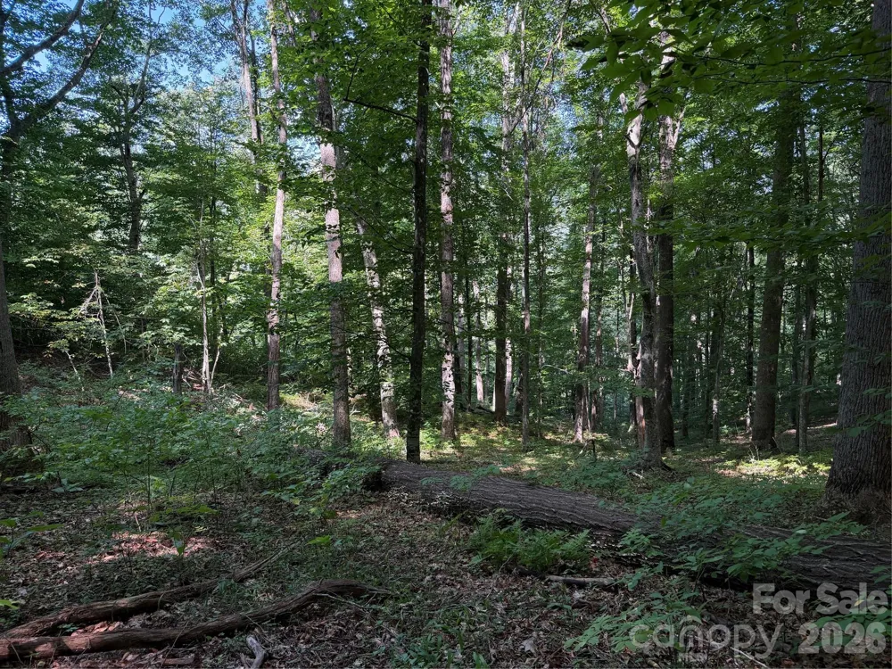 4281 Prices Creek Road Burnsville, NC 28714
