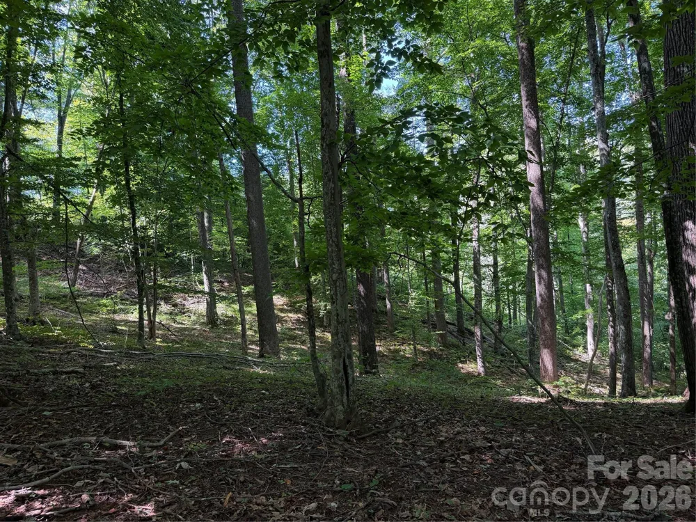 4281 Prices Creek Road Burnsville, NC 28714