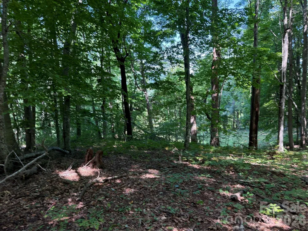 4281 Prices Creek Road Burnsville, NC 28714