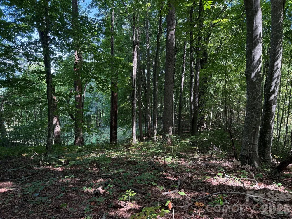 4281 Prices Creek Road Burnsville, NC 28714