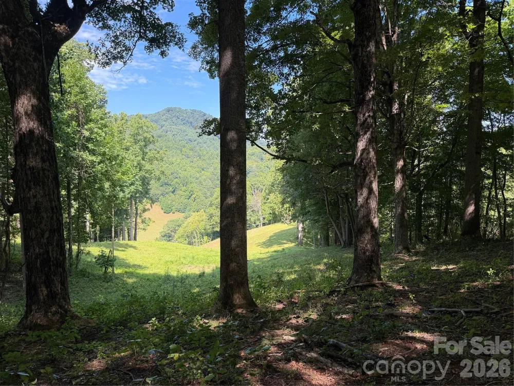 4281 Prices Creek Road Burnsville, NC 28714