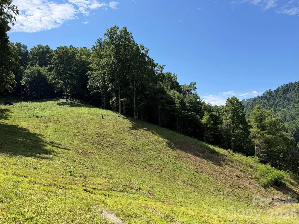 4281 Prices Creek Road Burnsville, NC 28714