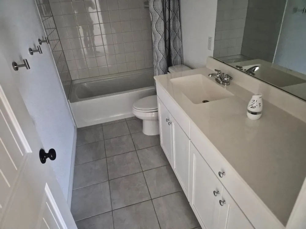 116 Lyrebird Lane Hutto, TX 78634