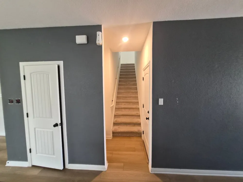 116 Lyrebird Lane Hutto, TX 78634