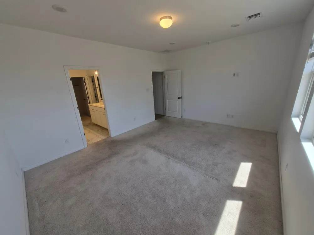 116 Lyrebird Lane Hutto, TX 78634
