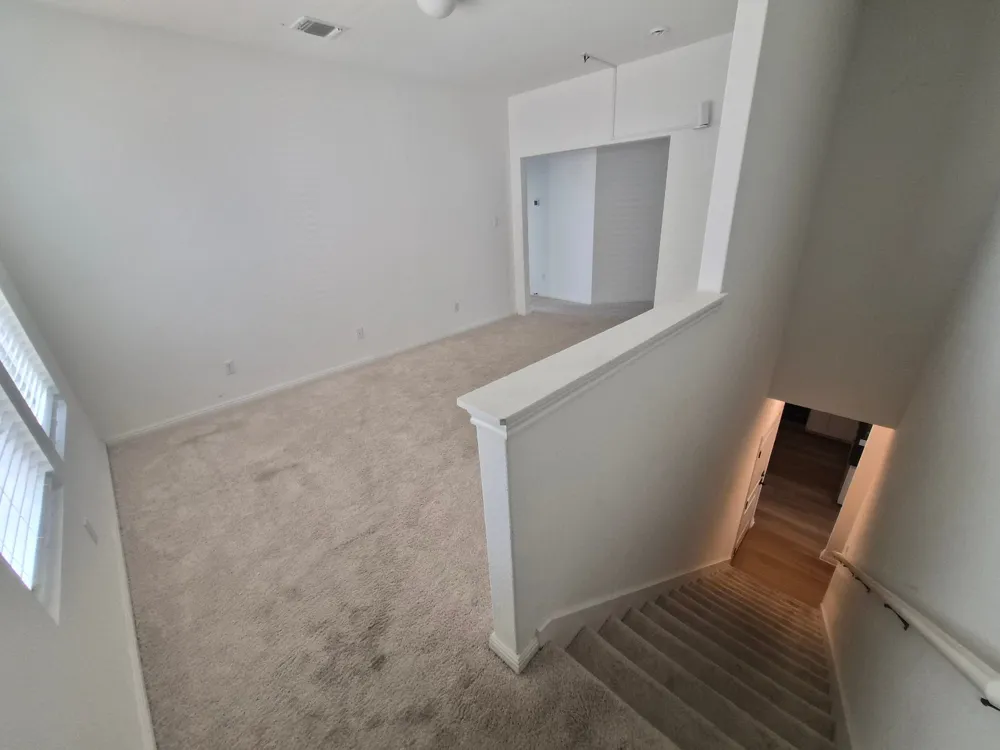 116 Lyrebird Lane Hutto, TX 78634