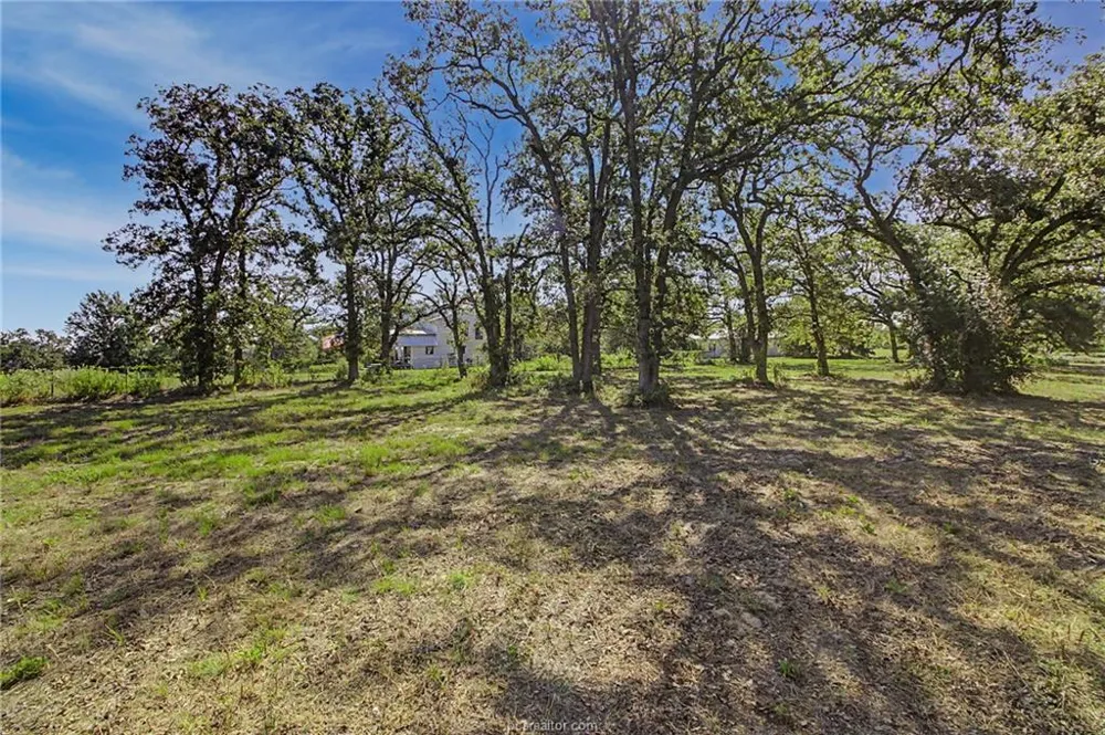 County Road 328 Milano, TX 76556