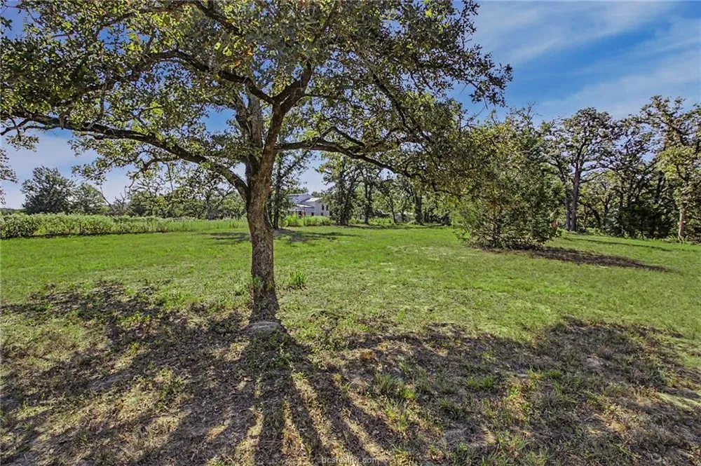 County Road 328 Milano, TX 76556