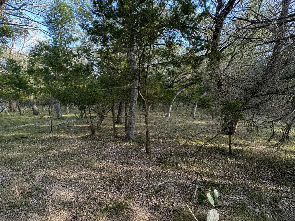 21719 Heather Drive Lago Vista, TX 78645