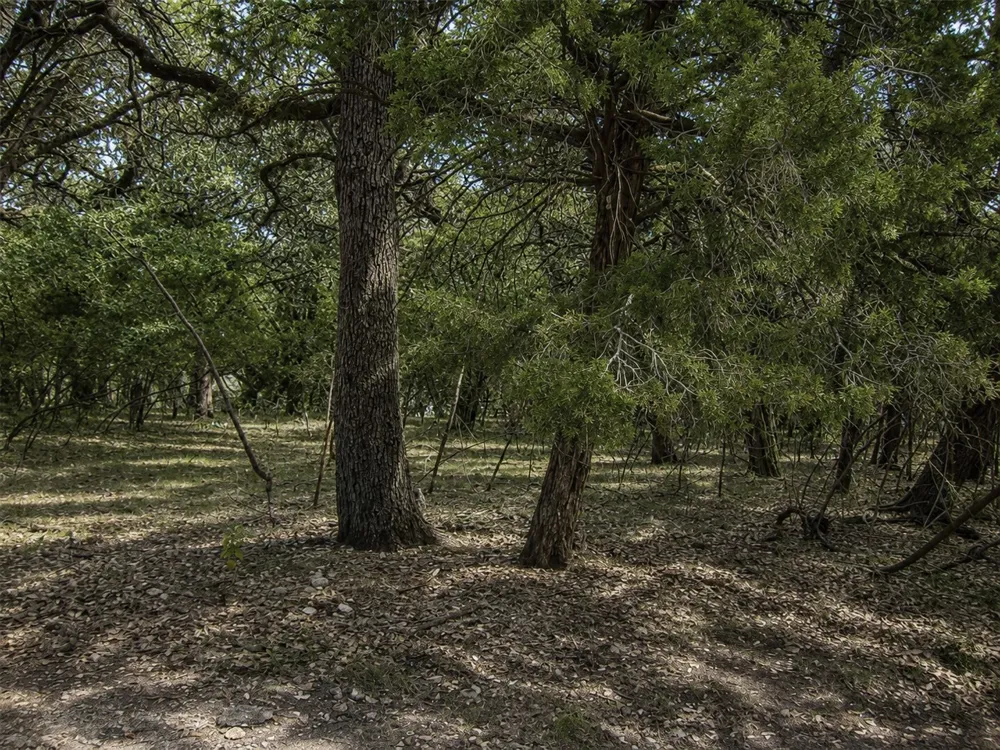 21719 Heather Drive Lago Vista, TX 78645