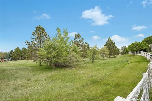 7579 Bantry Court Lone Tree, CO 80124