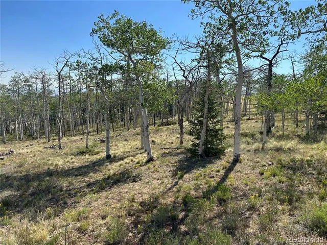 8608 Ranch Road Hartsel, CO 80449