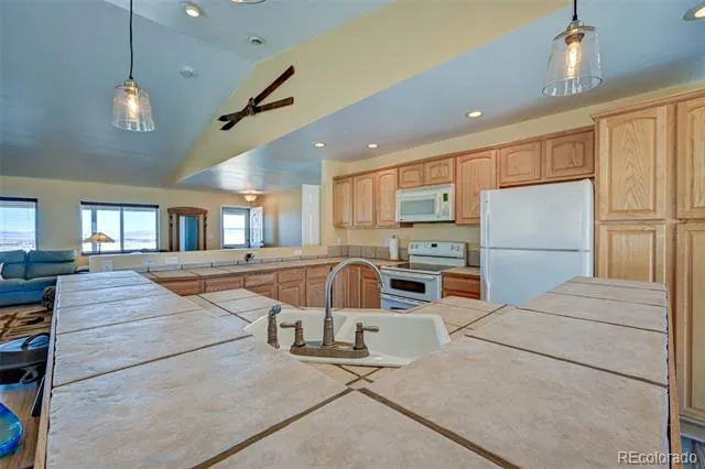 8608 Ranch Road Hartsel, CO 80449