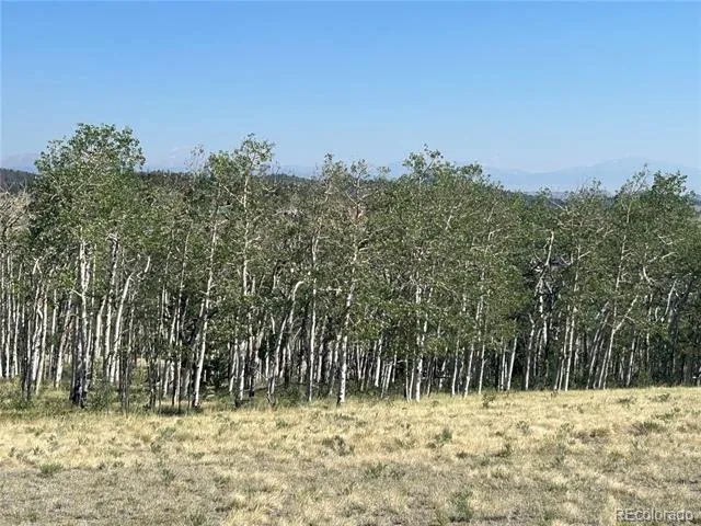 8608 Ranch Road Hartsel, CO 80449