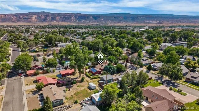 124 Ash Street Fruita, CO 81521