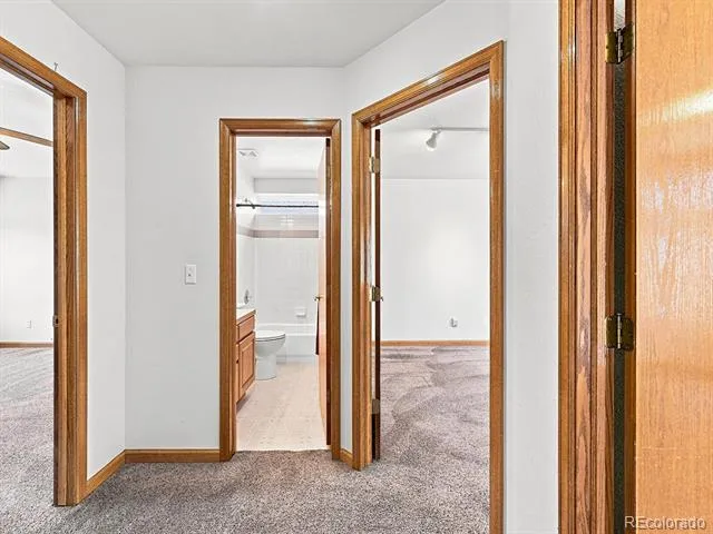 2559 Jarett Drive Mead, CO 80542