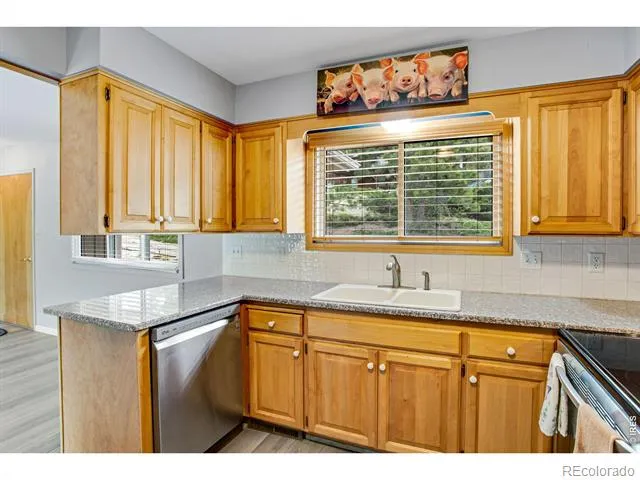 108 Meadowview Drive Estes Park, CO 80517