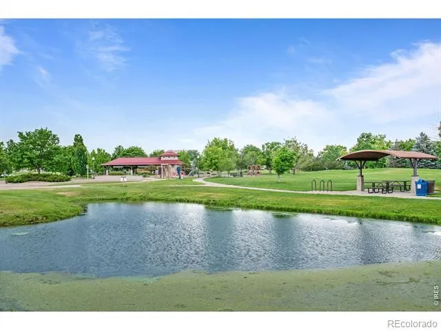 242 Clementina Street Louisville, CO 80027