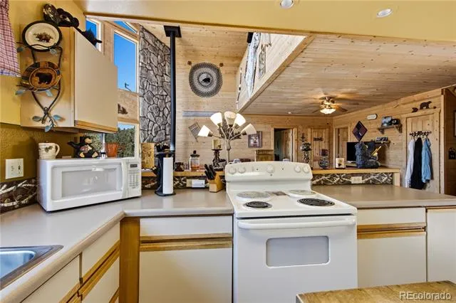 759 Red Feather Road Cotopaxi, CO 81223