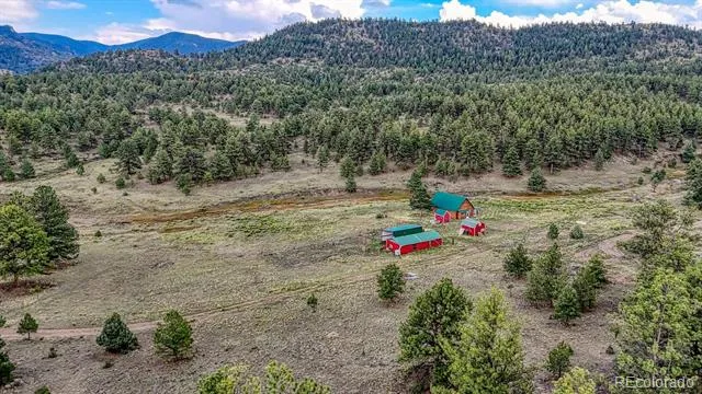 308 Dilley Lane Westcliffe, CO 81252