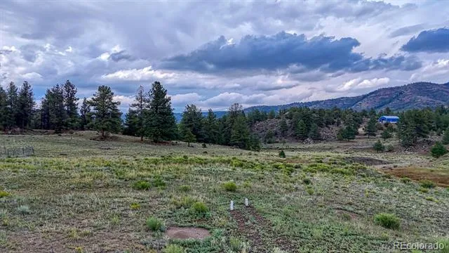 308 Dilley Lane Westcliffe, CO 81252