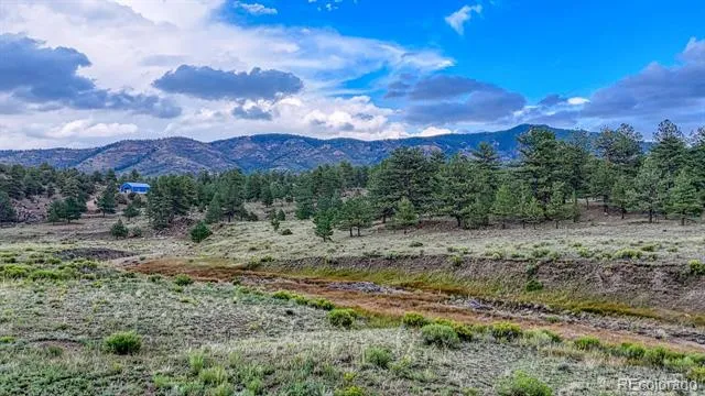 308 Dilley Lane Westcliffe, CO 81252