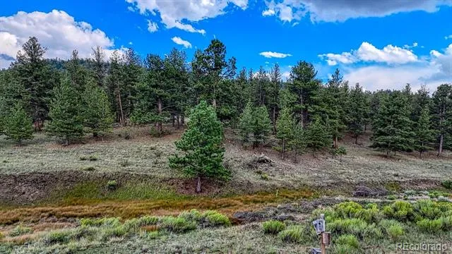 308 Dilley Lane Westcliffe, CO 81252